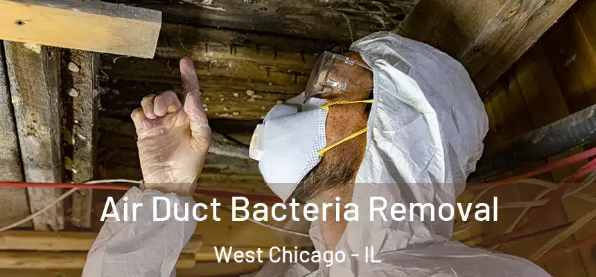  Air Duct Bacteria Removal West Chicago - IL