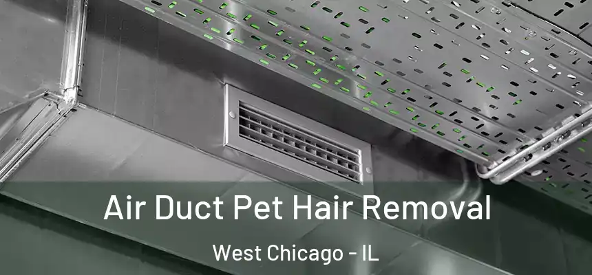 Air Duct Pet Hair Removal West Chicago - IL