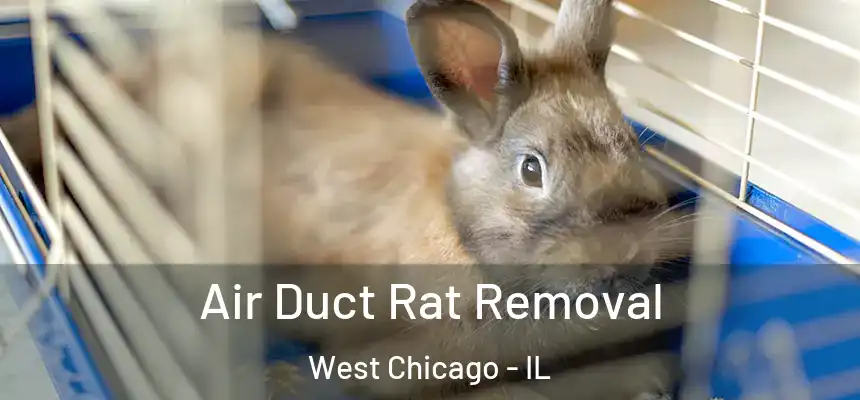  Air Duct Rat Removal West Chicago - IL
