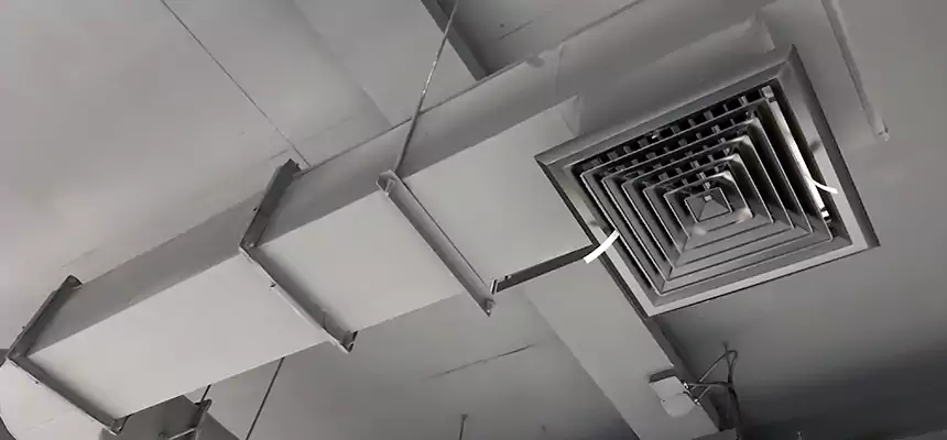 Our Pest Removal From Ducts Services in West Chicago, IL