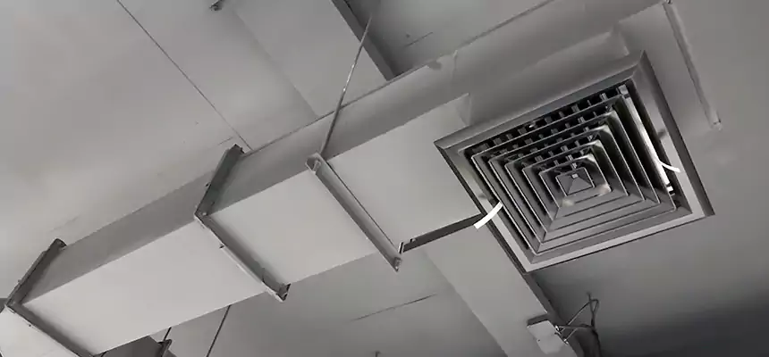 Our Rodent Droppings In Vents Services in West Chicago, IL