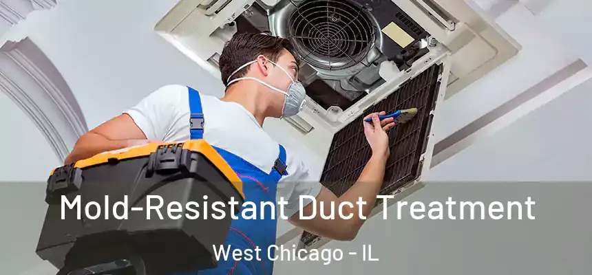  Mold-Resistant Duct Treatment West Chicago - IL