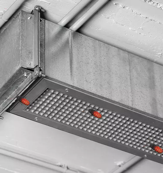Affordable Insect Removal from Air Ducts in West Chicago, IL