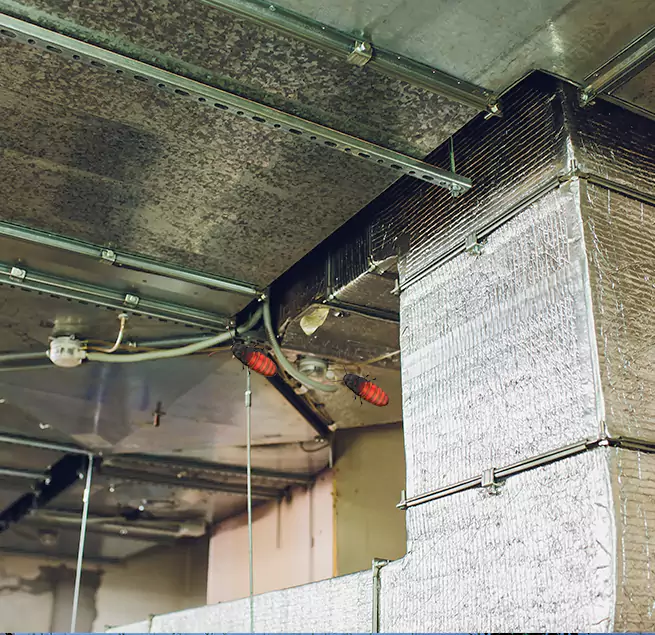 Why Homeowners & Businesses Trust Us in West Chicago, IL?