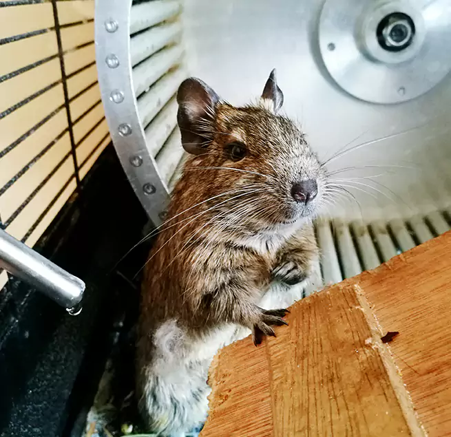 Why Homeowners & Businesses Trust Us West Chicago, IL?